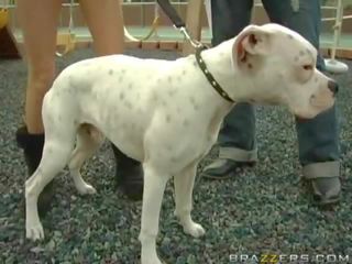 Stripling a foder um lassie e cara é pila em o mesmo tempo