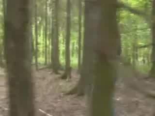 Aventure coup emploi en la forêt